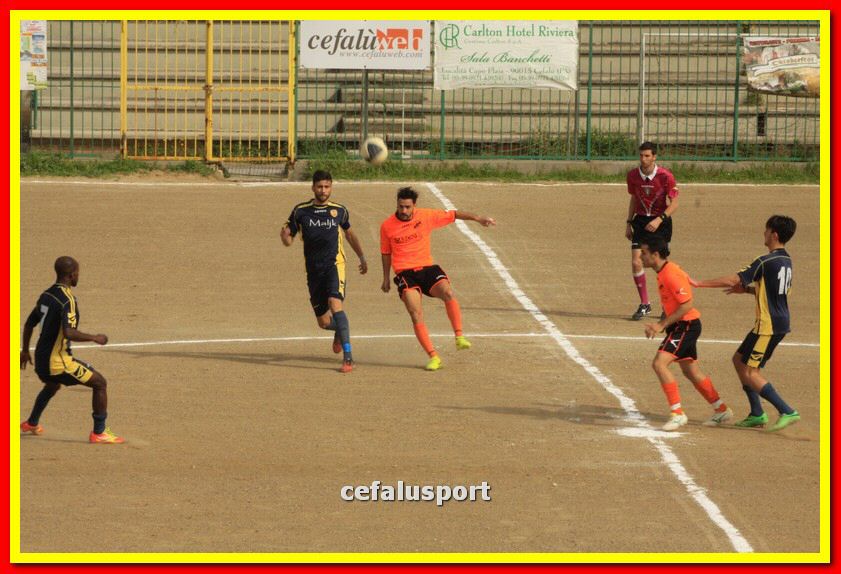 150321 stefanese 060_tn.jpg